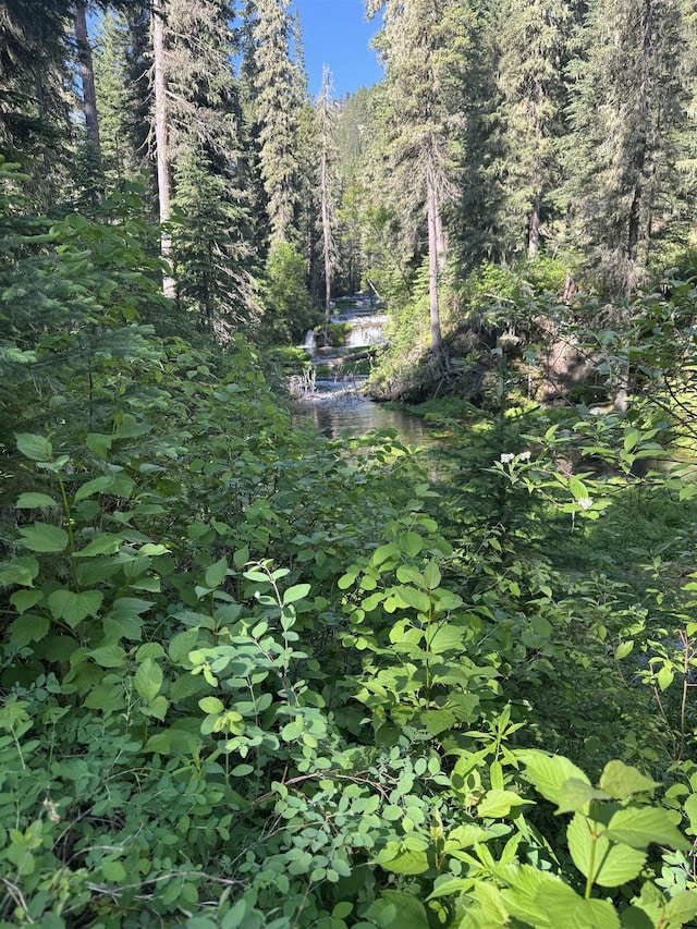 21454 US Highway 85, Lead, SD 57754 - view of yard with a wooded view