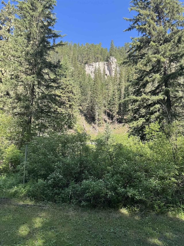 21454 US Highway 85, Lead, SD 57754 - view of wooded area