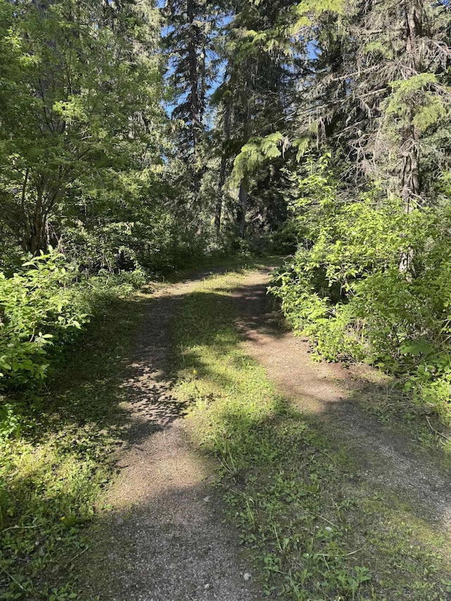 21454 US Highway 85, Lead, SD 57754 - view of street featuring a view of trees