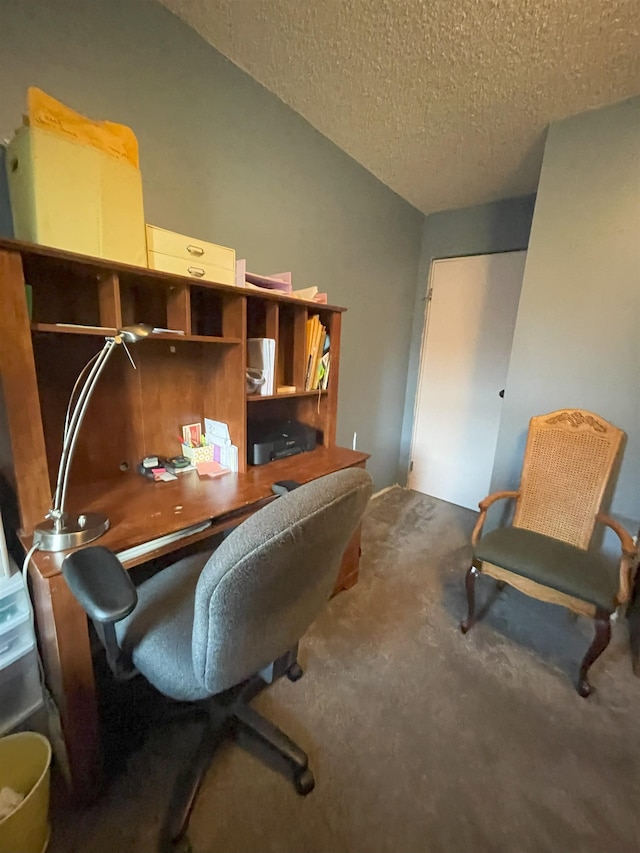 2102 Albany Ave, Hot Springs, SD 57747 - carpeted office space with a textured ceiling