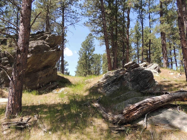 LOT22DIAMONDE Upper French Creek Rd, Custer, SD 57730