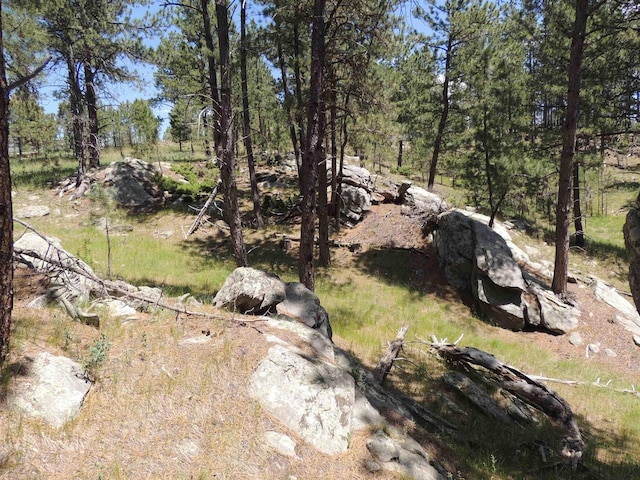 LOT22DIAMONDE Upper French Creek Rd, Custer, SD 57730
