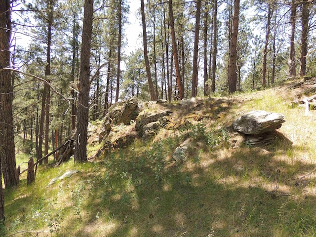 LOT22DIAMONDE Upper French Creek Rd, Custer, SD 57730