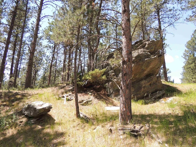 LOT22DIAMONDE Upper French Creek Rd, Custer, SD 57730