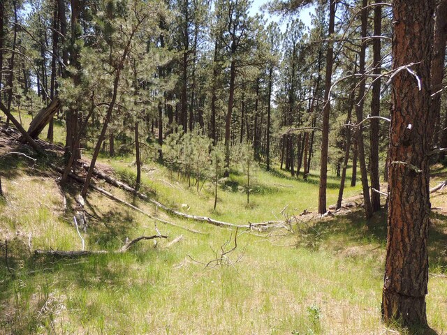LOT22DIAMONDE Upper French Creek Rd, Custer, SD 57730