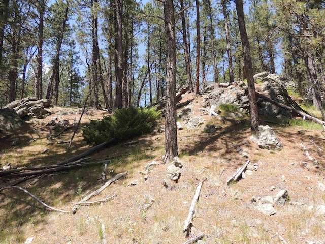 LOT22DIAMONDE Upper French Creek Rd, Custer, SD 57730