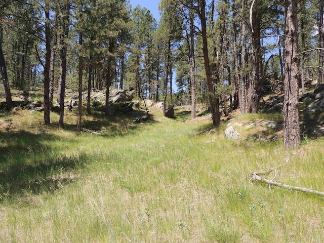 LOT22DIAMONDE Upper French Creek Rd, Custer, SD 57730