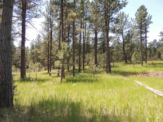 LOT22DIAMONDE Upper French Creek Rd, Custer, SD 57730