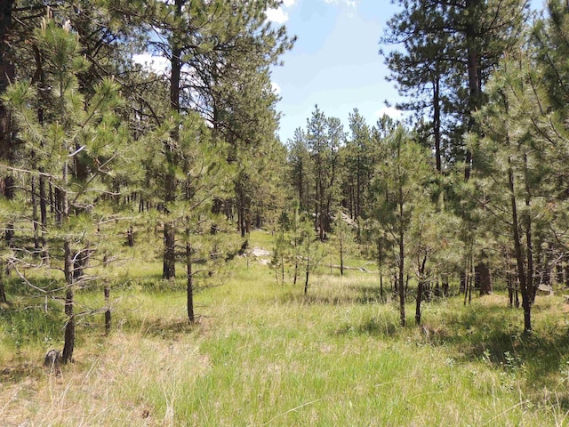 LOT22DIAMONDE Upper French Creek Rd, Custer, SD 57730