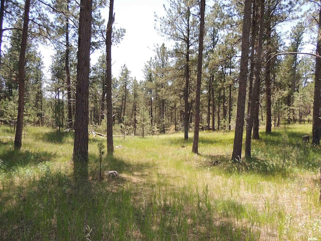 LOT22DIAMONDE Upper French Creek Rd, Custer, SD 57730