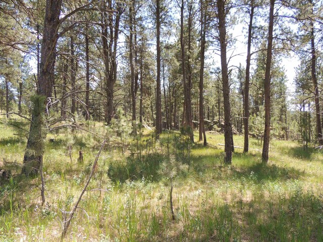LOT22DIAMONDE Upper French Creek Rd, Custer, SD 57730