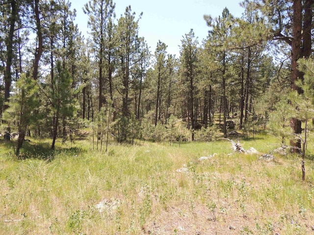 LOT22DIAMONDE Upper French Creek Rd, Custer, SD 57730