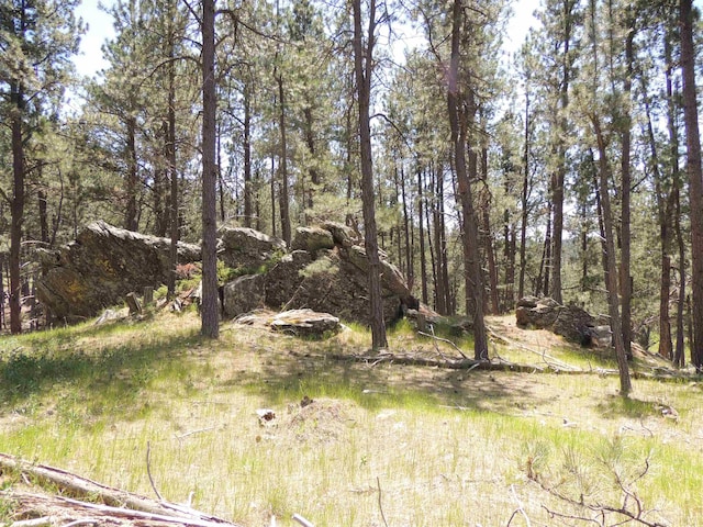 LOT22DIAMONDE Upper French Creek Rd, Custer, SD 57730