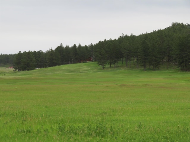 TBDLOT3 Pleasant Valley Rd, Custer, SD 57730