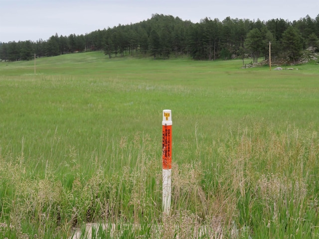 TBDLOT3 Pleasant Valley Rd, Custer, SD 57730