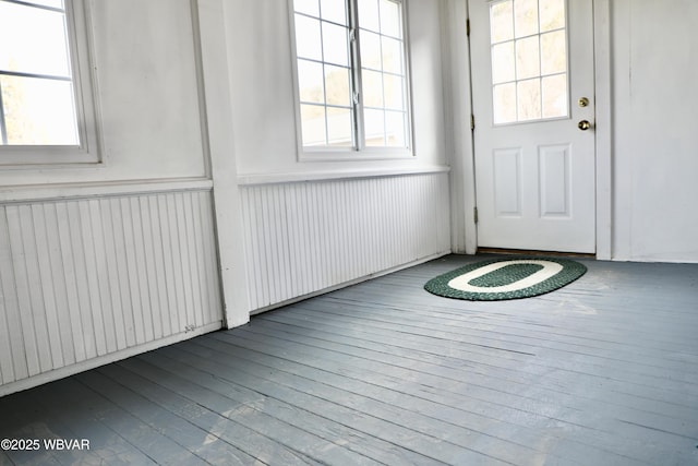 entryway with wood-type flooring and a wealth of natural light