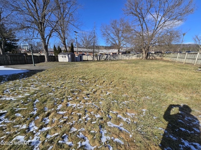 view of yard featuring a shed