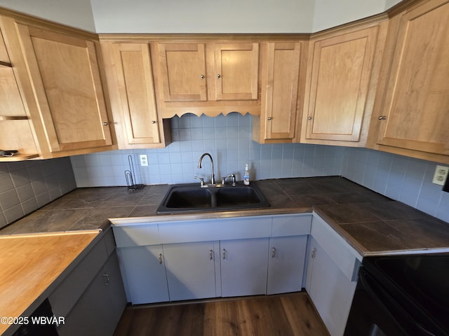 kitchen with tasteful backsplash, tile counters, dark wood-type flooring, and sink