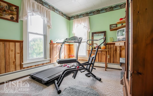 workout area featuring a wealth of natural light and carpet