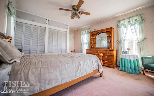 bedroom with carpet, ceiling fan, multiple closets, and multiple windows