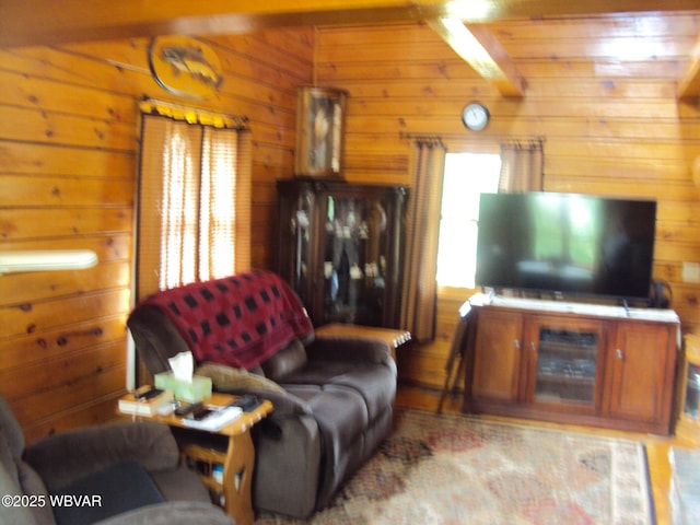70 Berry Ln, Mill Hall, PA 17751 - living room with wooden walls and plenty of natural light