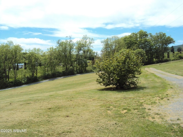 70 Berry Ln, Mill Hall, PA 17751 - view of green lawn