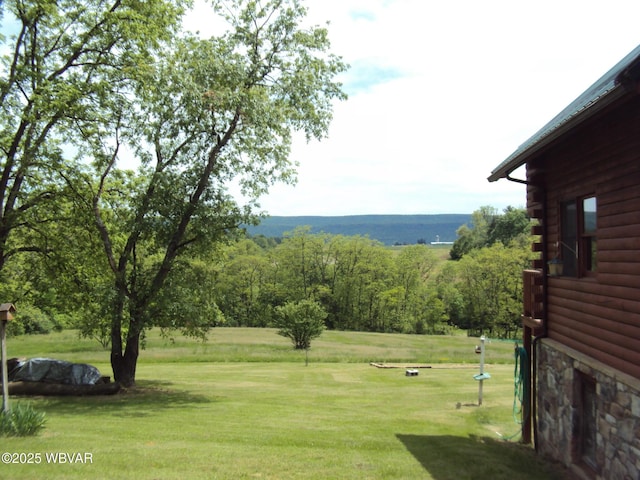 70 Berry Ln, Mill Hall, PA 17751 - view of grassy yard