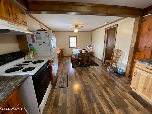 kitchen with electric range, a ceiling fan, under cabinet range hood, crown molding, and dark wood-style flooring