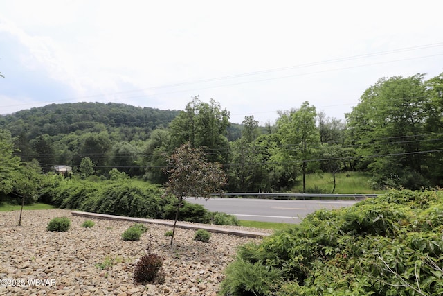 1964 Poco Farm Rd, Williamsport, PA 17701 - exterior space featuring a view of trees