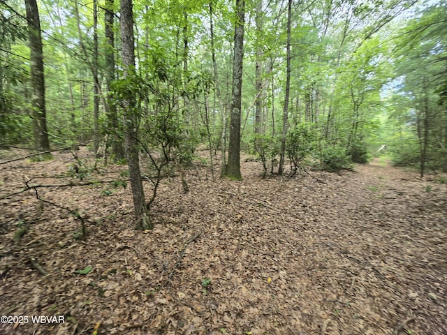 155 Honeysuckle Ln, Lock Haven, PA 17745 - photo 29