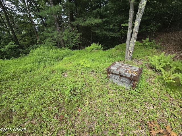 155 Honeysuckle Ln, Lock Haven, PA 17745 - photo 35