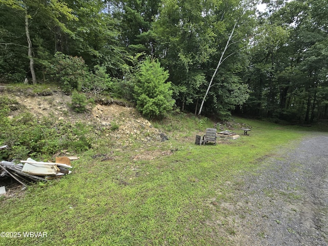 155 Honeysuckle Ln, Lock Haven, PA 17745 - photo 44