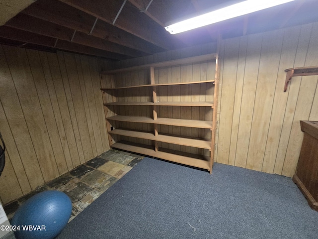 basement featuring wood walls and carpet floors