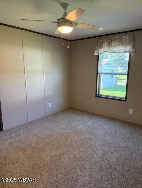 2381 Rt 405th Hwy, Muncy, PA 17756 - unfurnished room with carpet flooring, a ceiling fan, and a decorative wall