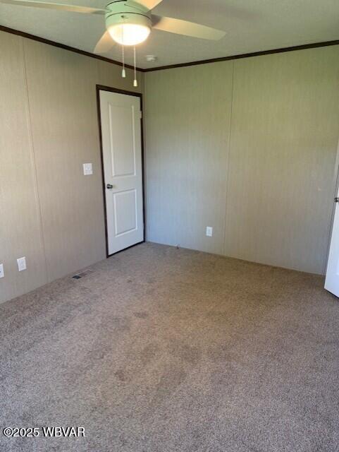 2381 Rt 405th Hwy, Muncy, PA 17756 - spare room with ceiling fan, carpet flooring, crown molding, and a decorative wall