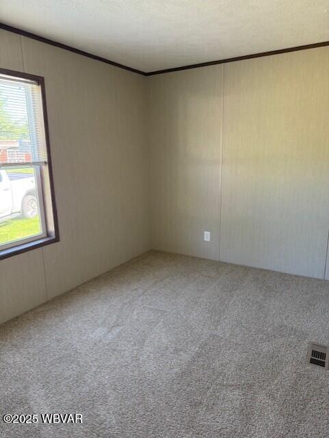 2381 Rt 405th Hwy, Muncy, PA 17756 - carpeted empty room featuring crown molding