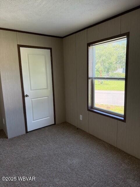 2381 Rt 405th Hwy, Muncy, PA 17756 - carpeted spare room featuring a textured ceiling, ornamental molding, and a decorative wall