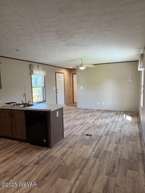 2381 Rt 405th Hwy, Muncy, PA 17756 - kitchen with dishwasher, light wood-type flooring, open floor plan, light countertops, and a textured ceiling