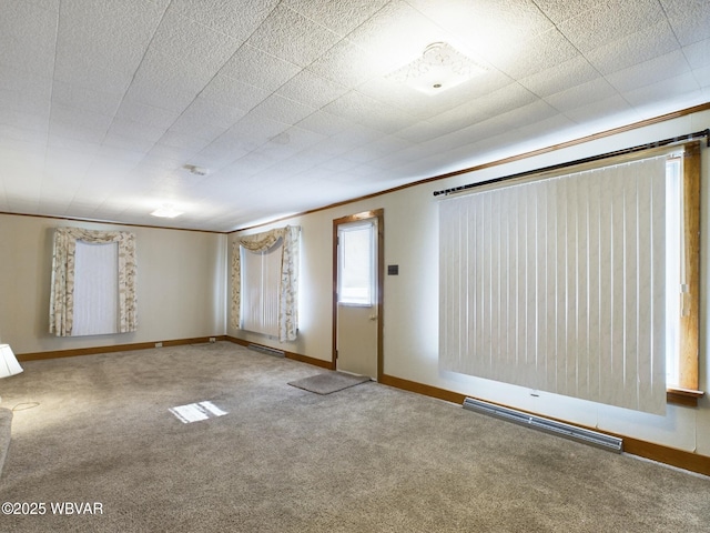 spare room with crown molding and carpet floors