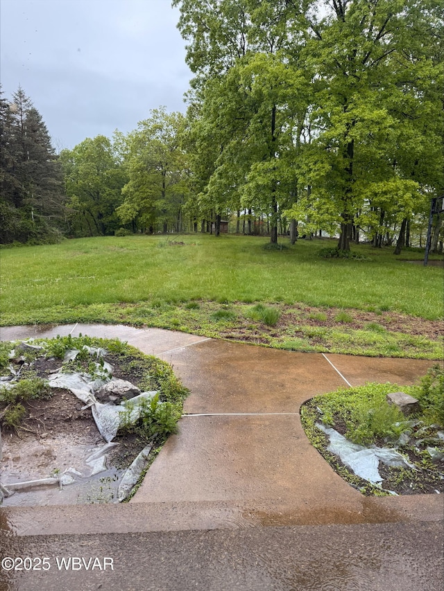 1290 Windfield Dr, Williamsport, PA 17701 - view of yard