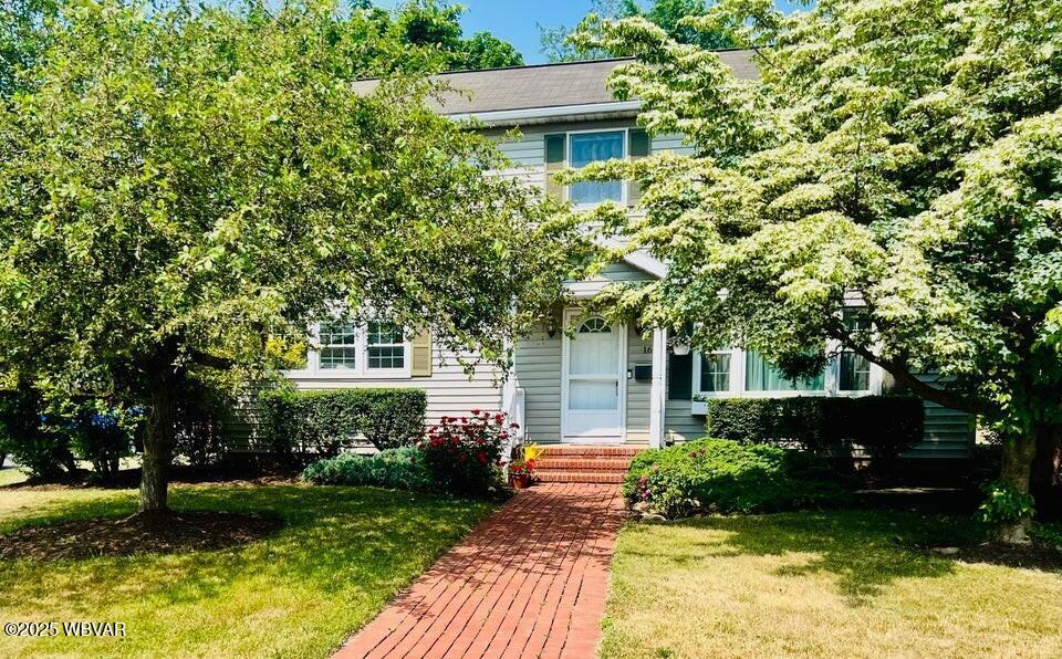 obstructed view of property with a front lawn