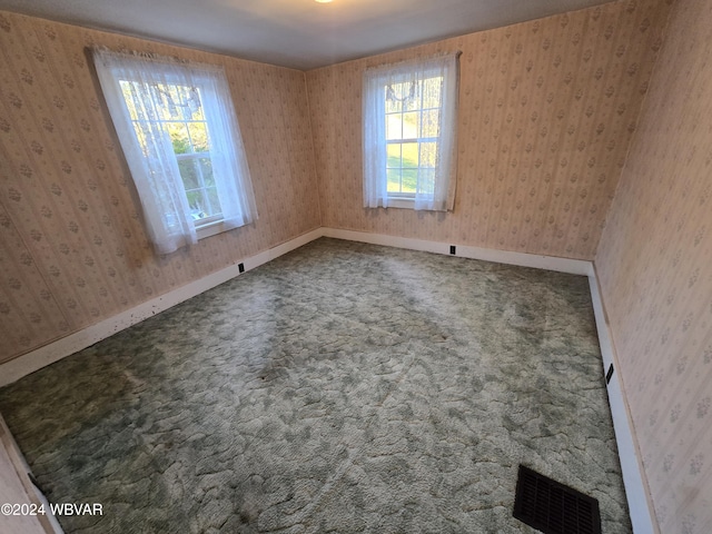 spare room with carpet and a wealth of natural light