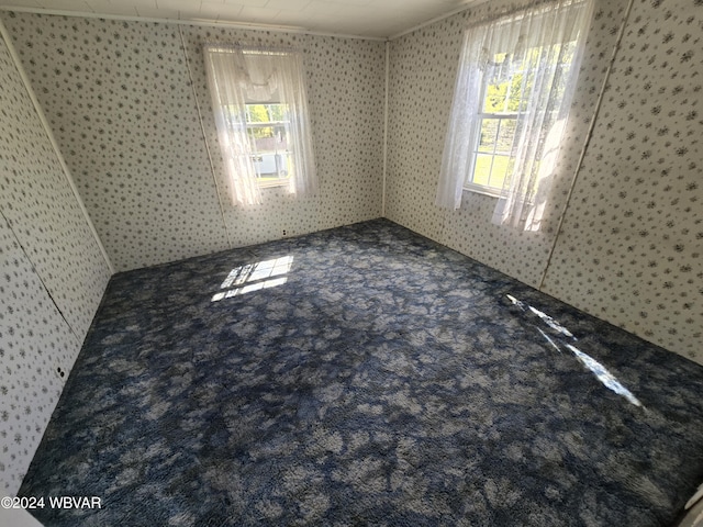 empty room featuring a wealth of natural light and crown molding