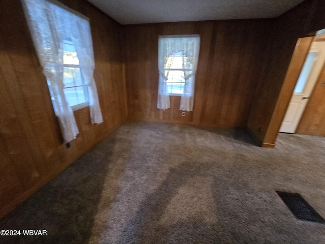 empty room featuring carpet and wood walls