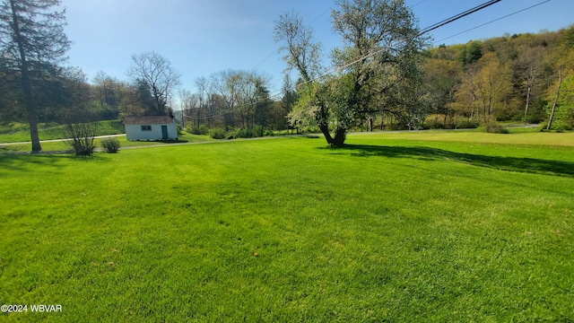 view of yard with an outdoor structure