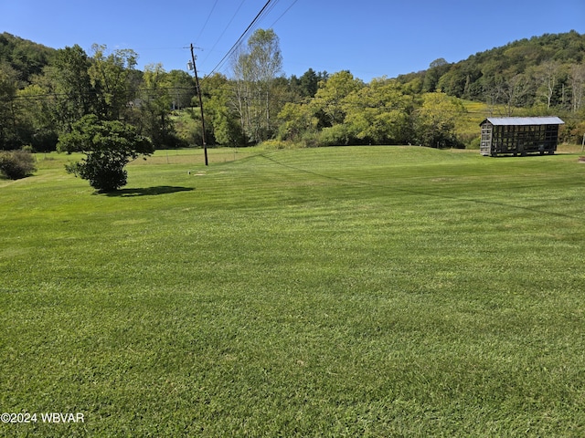 view of yard