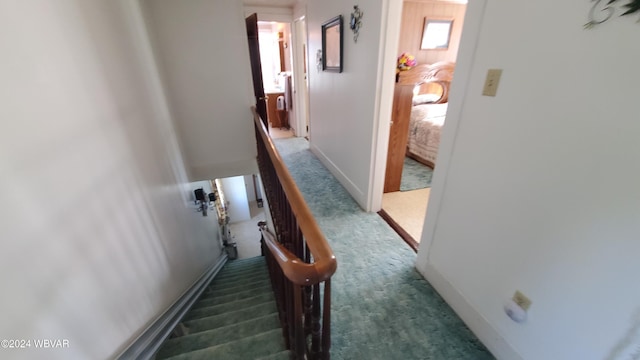 staircase featuring carpet