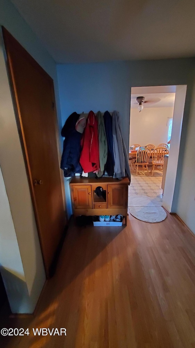 hallway with hardwood / wood-style flooring