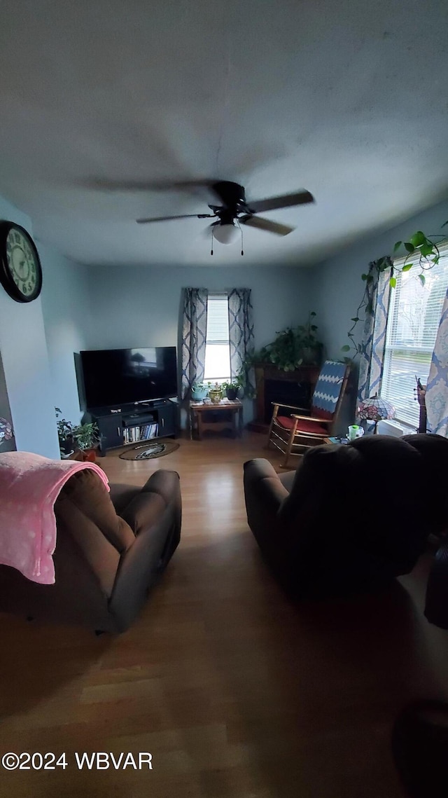 living room with ceiling fan and hardwood / wood-style flooring