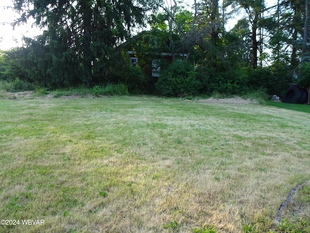 5047 Blockhouse Rd, Liberty, PA 16930 - view of grassy yard